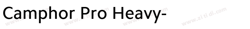Camphor Pro Heavy字体转换